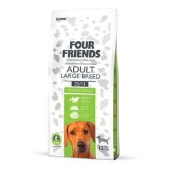 Adult Large Breed