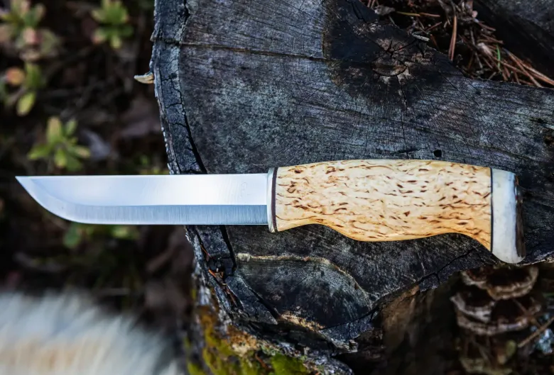 Bear Knife | Curly Birch