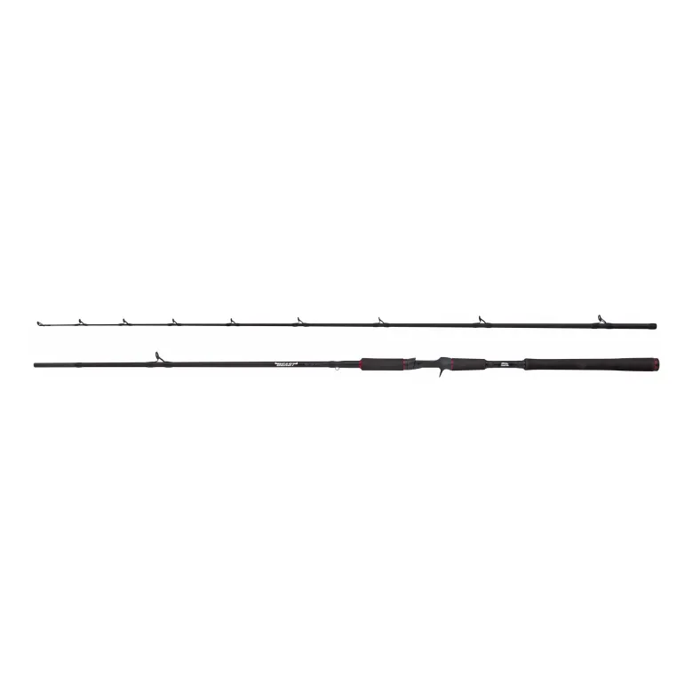 Beast Casting Rod