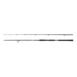 Beast Spinning Rod