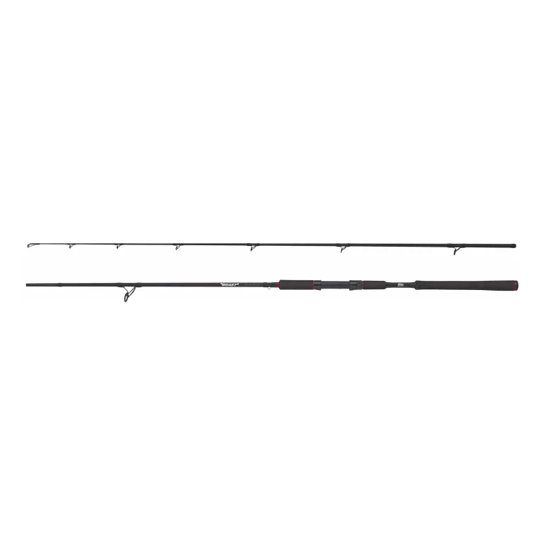 Beast Spinning Rod