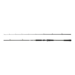 Beast X Casting Rod