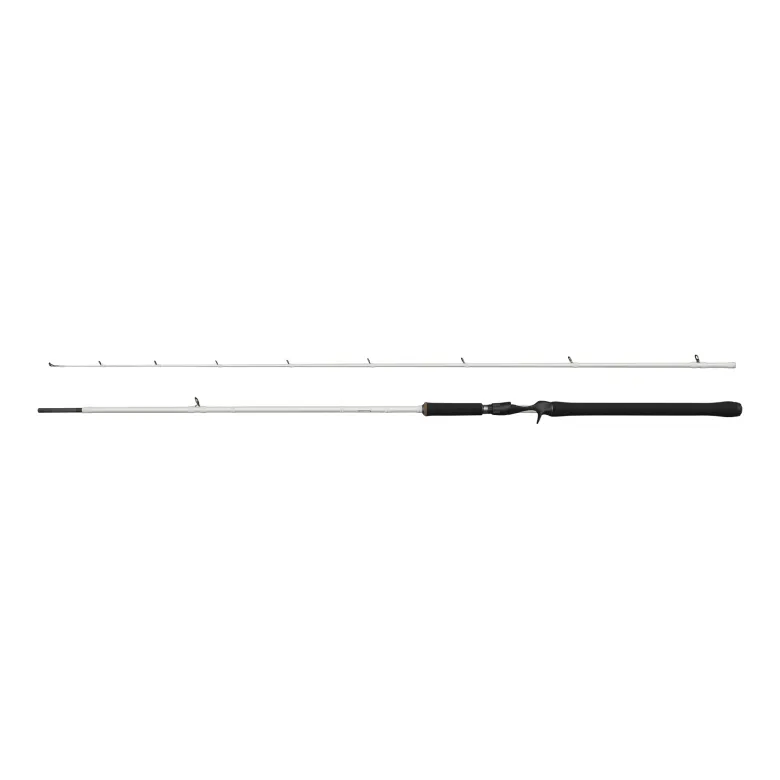 Beast X Trolling Casting Rod