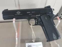 Beg GSG 1911 22LR ID245679