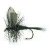 Black Gnat