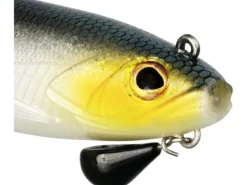Bullteez Curltail R2F | Official Roach | 16cm / 35g