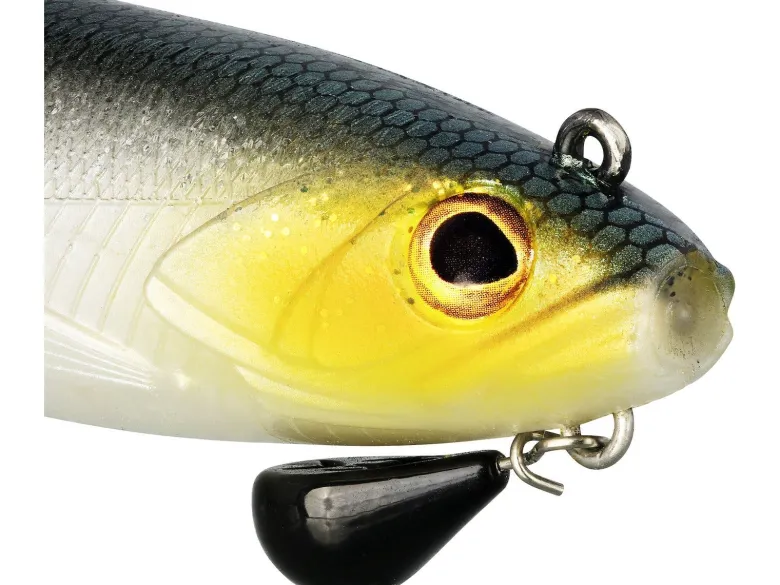 Bullteez Curltail R2F | Official Roach | 16cm / 35g