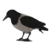 Bulvan Kråka Flockad