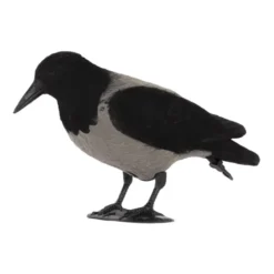 Bulvan Kråka Flockad