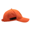 Cap Visable
