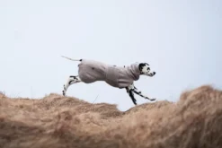 Drying coat | sand