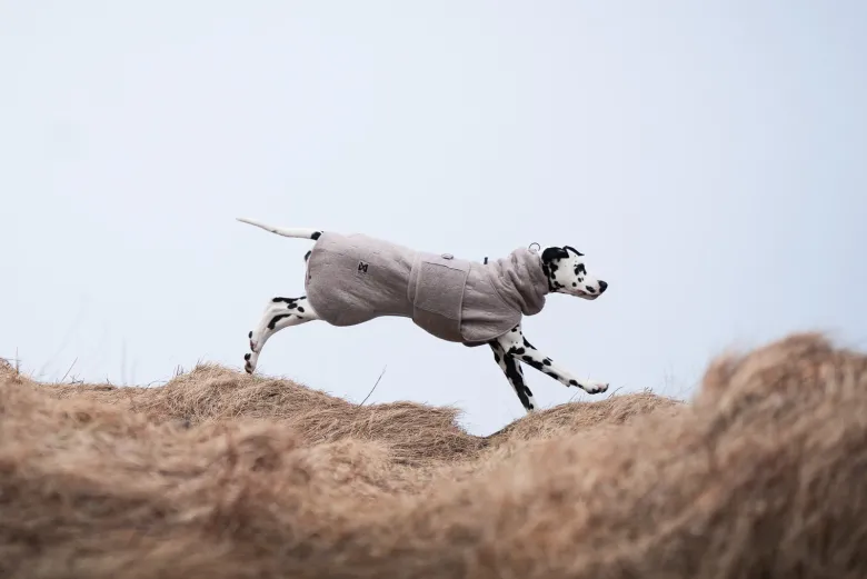 Drying coat | sand