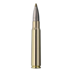 Evo Green | Ammunition