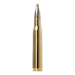 Evostrike | Ammunition