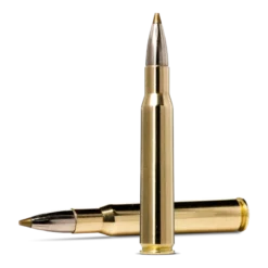 Evostrike | Ammunition