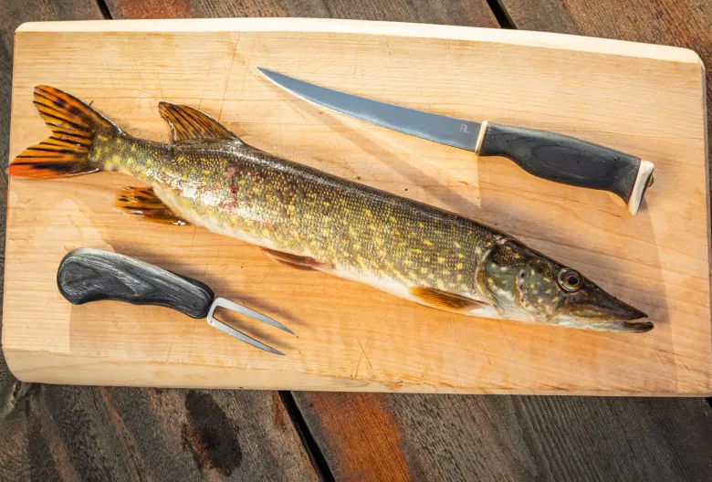 Fillet Knife