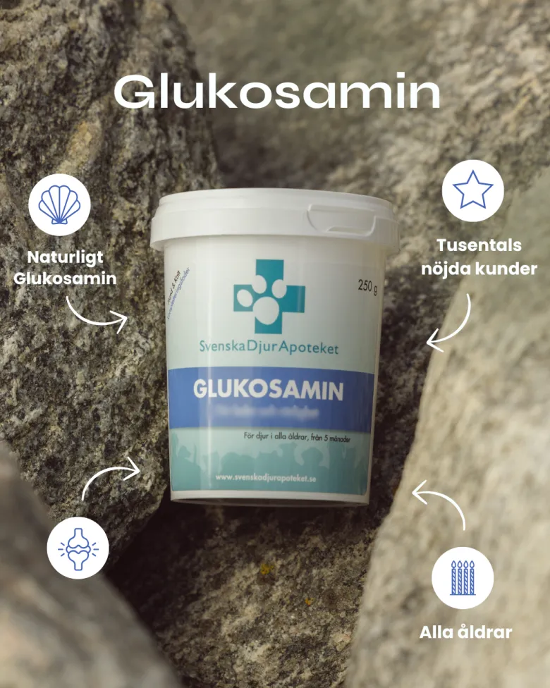 Glukosamin | 250 g