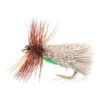 Goddard'S Caddis