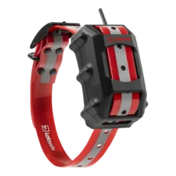 GPS C40
