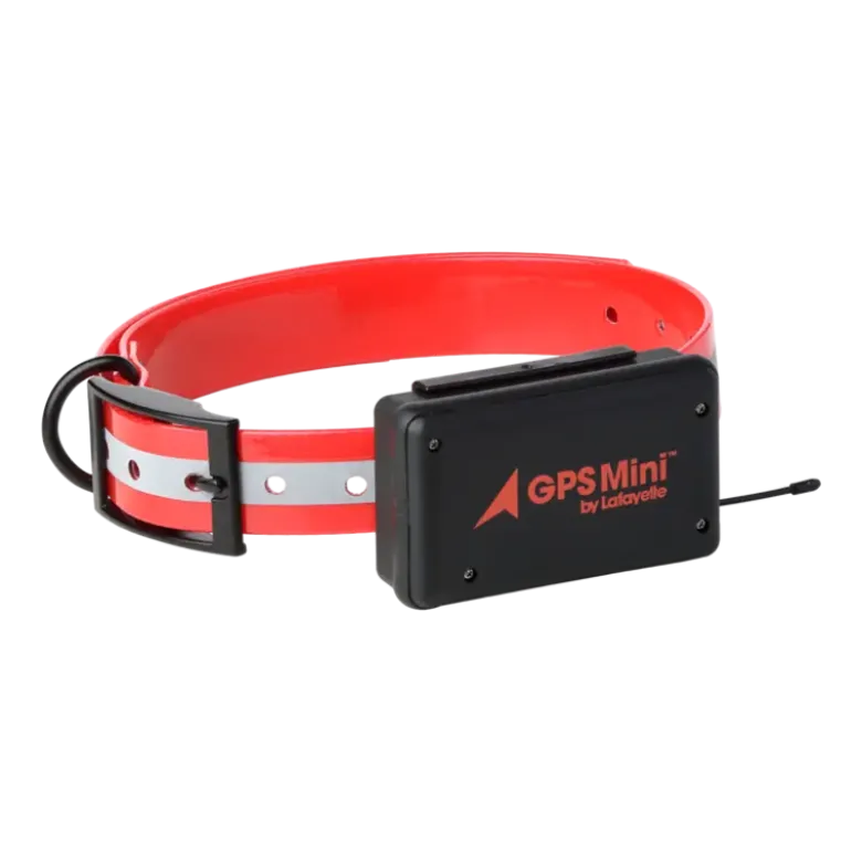 GPS Mini 4G Hundpejl