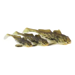 GUNNAR THE GOBY | SPOTTED GOBY | 8cm / 6,5g