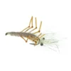 Honey Shrimp