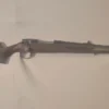 1900 Lyx 300win mag