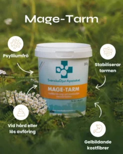 Mage-Tarm