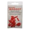 Maggots