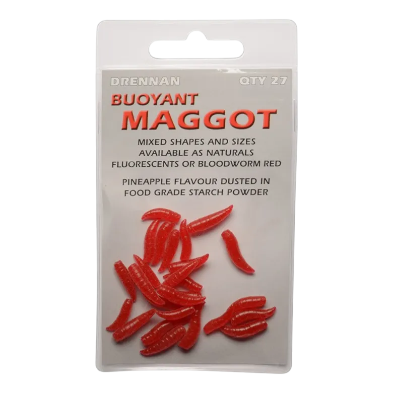 Maggots