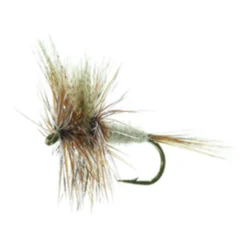 March Brown