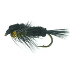 Montana Nymph