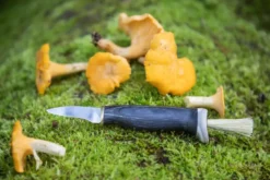 Mushroom Knife