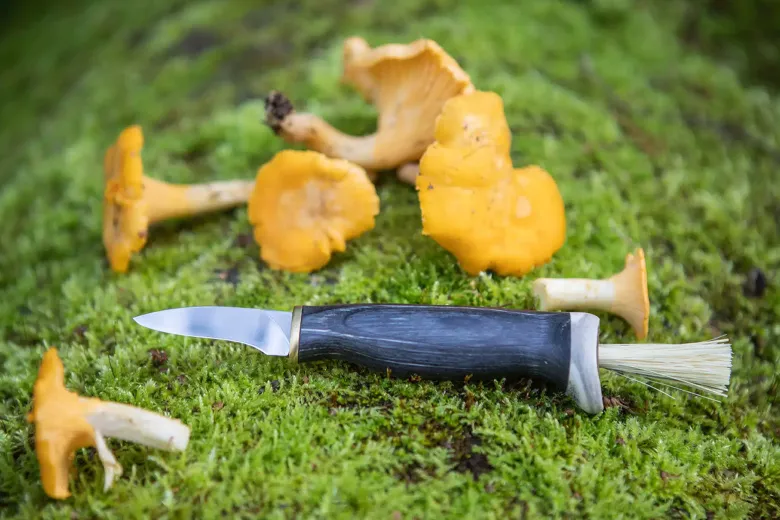Mushroom Knife