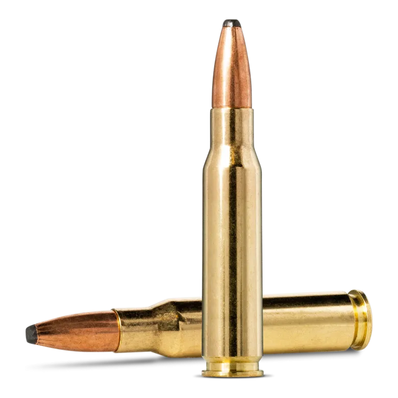 New Oryx | Ammunition