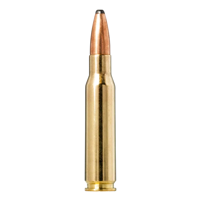 New Oryx | Ammunition