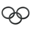 O-ring för batterihölje | R10 / R10i | 3 st