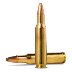 Oryx | Ammunition