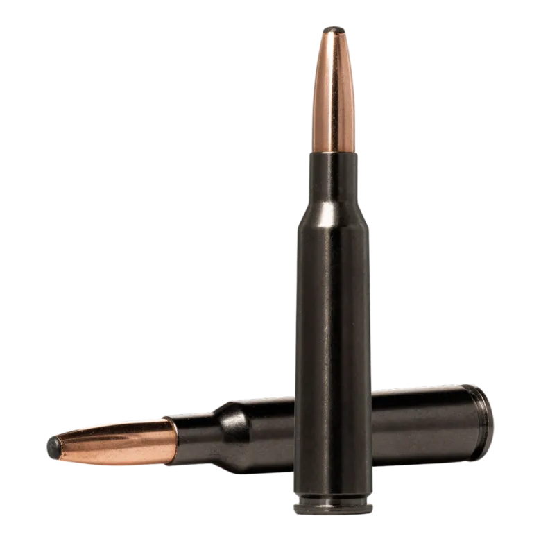 Oryx Silencer | Ammunition