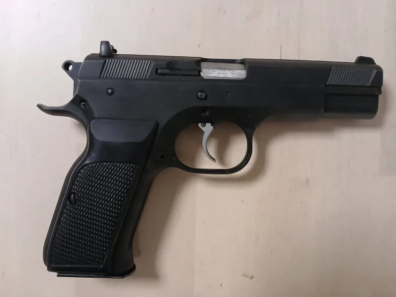P19 Combat