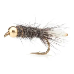 Peeping Caddis