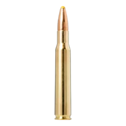 PPDC | Ammunition