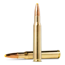 PPDC | Ammunition
