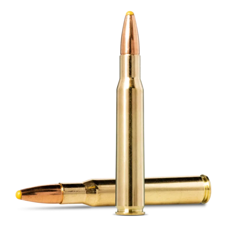 PPDC | Ammunition