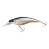 Prorex Flat Bait Mr