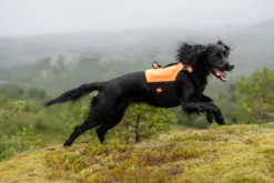 Protector neoprene vest | orange