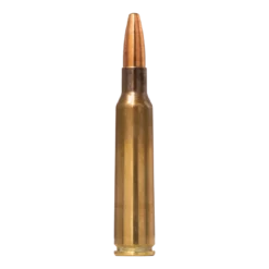 Range & Training | Ammunition