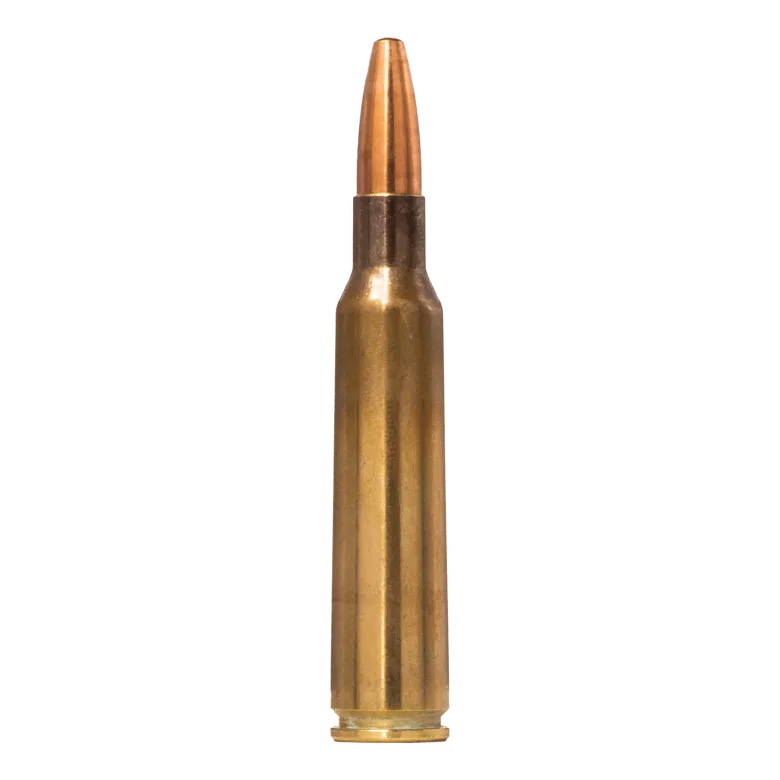 Range & Training | Ammunition