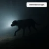 Rex