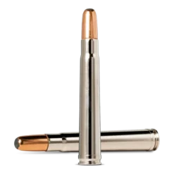 RNSN | Ammunition